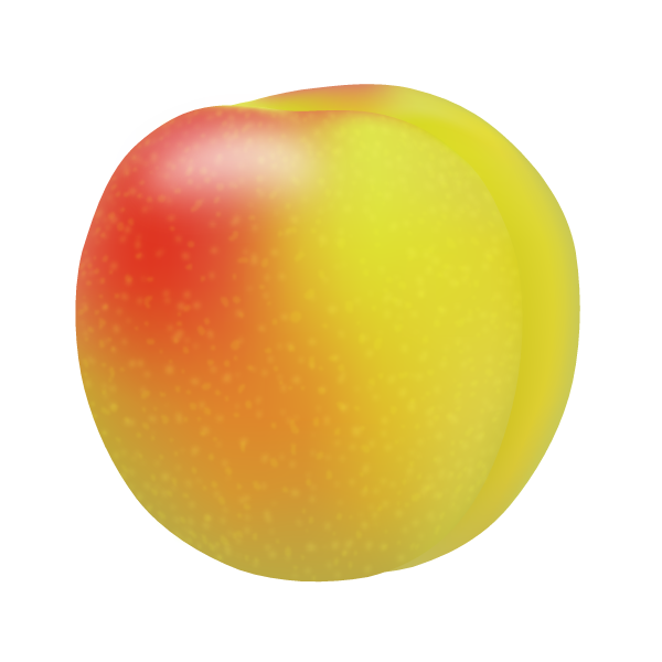 0020_japanese_plum_002.png