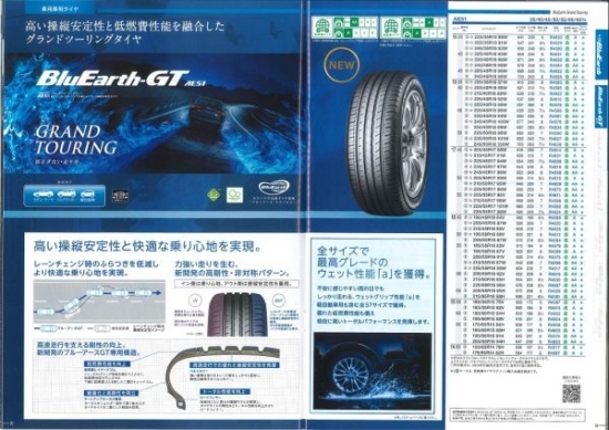 AE51-1-600x424.jpg
