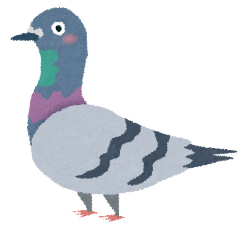 bird_hato.png