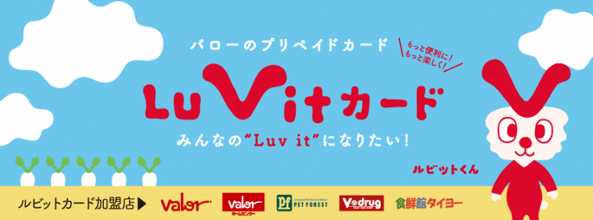 luvit_banner_allshop.png