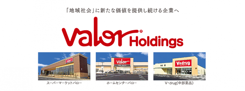VHD_banner_corporate_image.png