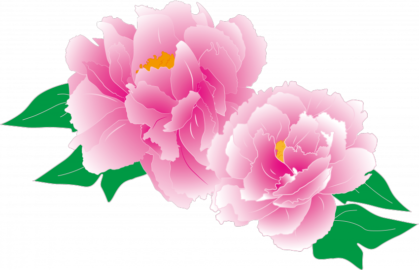 publicdomainq-0010402gymhqp.png