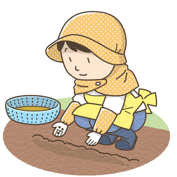 seeding3.png