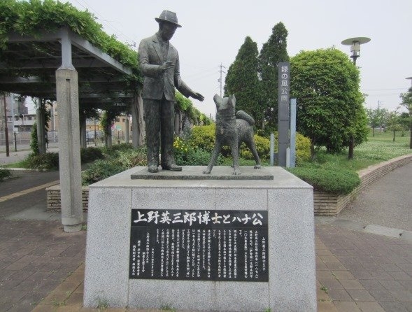 town20170719191428.jpg