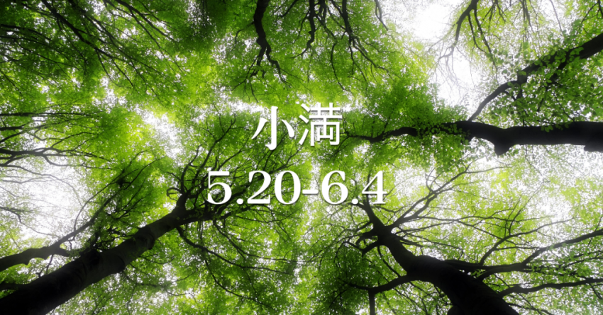 0520-24-1024x536.png