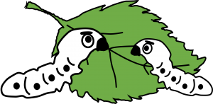 32efb6bc50fca423d8956df7616646e4-300x147.png