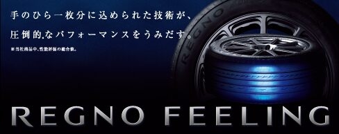 bnr_index_brand_regno.jpg