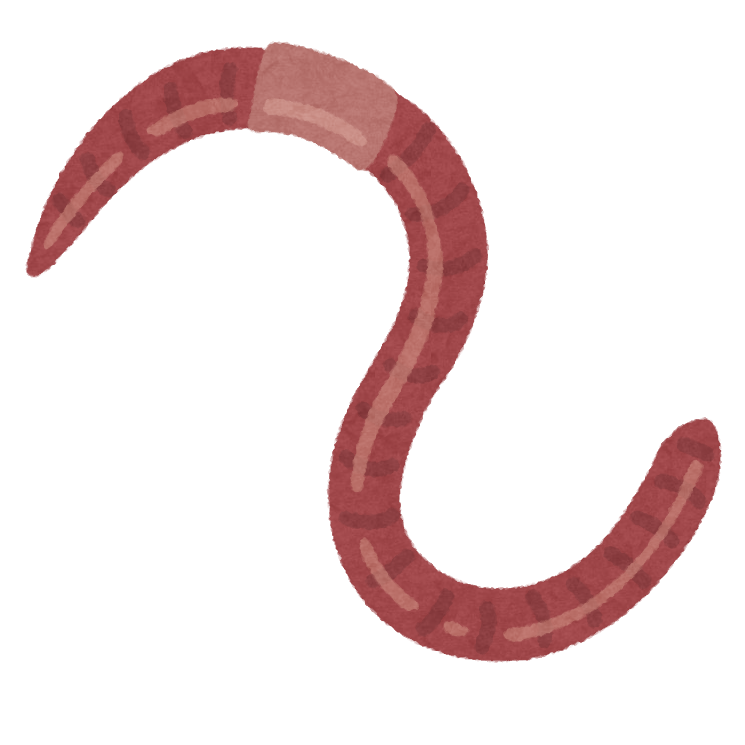 bug_mimizu.png