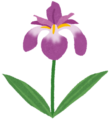 flower_syoubu (1).png