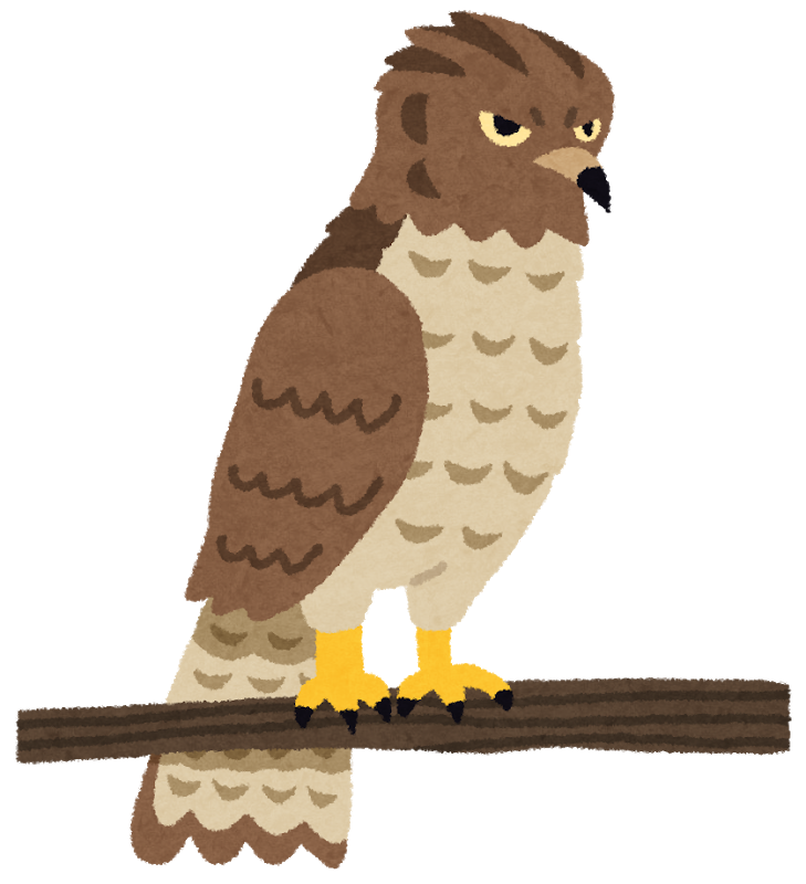 bird_taka.png
