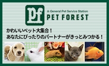 bnr_pet_forest.jpg