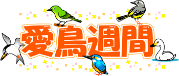 font_05_bird01_a_05.png