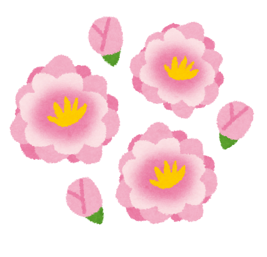 flower_momo (2).png
